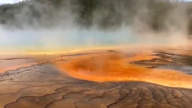 The Grand Prismatic Spring adds a splash of tie-dye color to the beauty of Yellowstone National Park