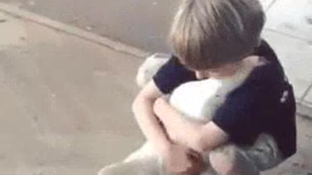 Trained Hen With Trainer