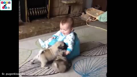 Dog's reaction to the baby for the first time is super fun!
