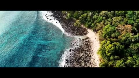 Relaxation Music | Sleeping Music | Meditation Music