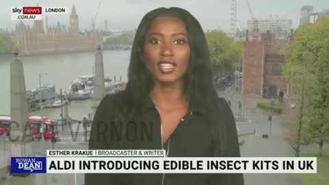 Dicono sia tempo di mangiare insetti