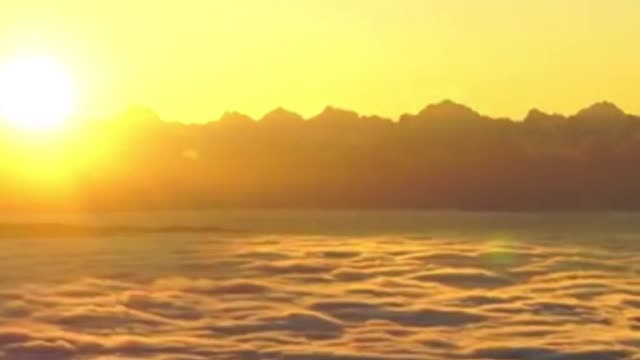 Nature video