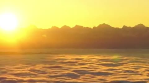 Nature video
