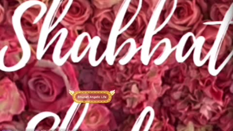 - ANGELIC SOUL ; SO HAPPY SHE CAN BARELY EAT !