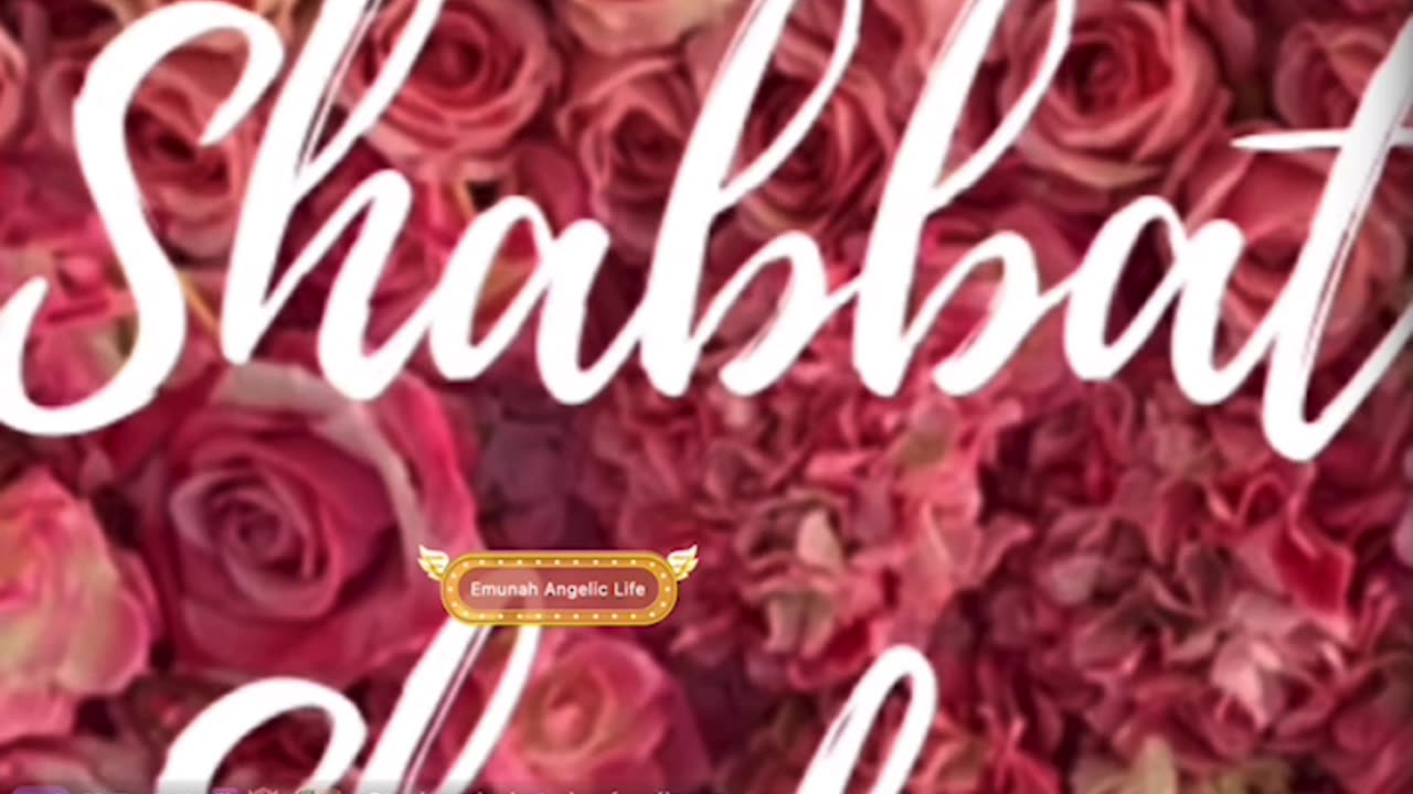 - ANGELIC SOUL ; SO HAPPY SHE CAN BARELY EAT !