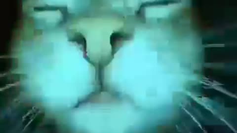 Stoned