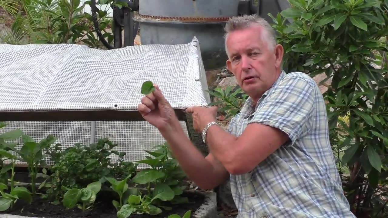 End Time Gardening Episode 3 Organic Permaculture