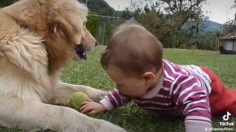 baby and dog