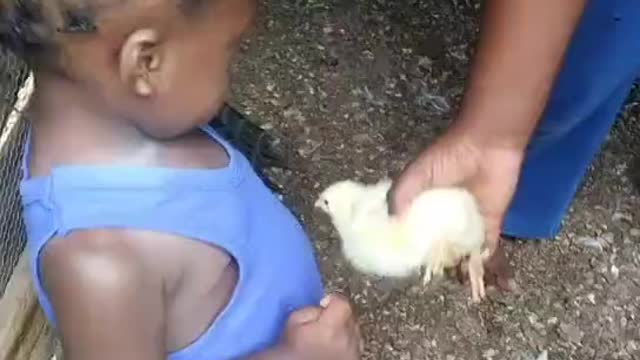 Baby with chicken