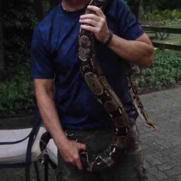 Me,Ben, w/ “Sam”, the Boa Constrictor I gave my Brother 24 years ago, 1997.In MI 7/25/18