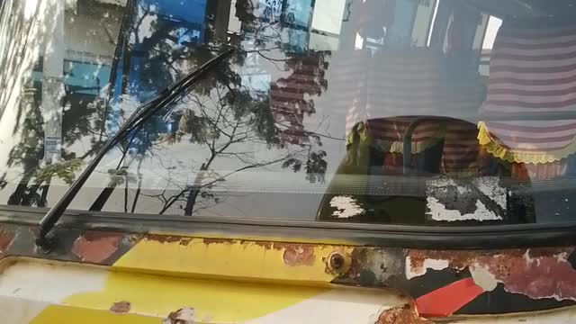My bus ia