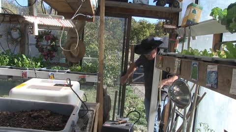 THE COST OF WINTER GREENHOUSE HEATING