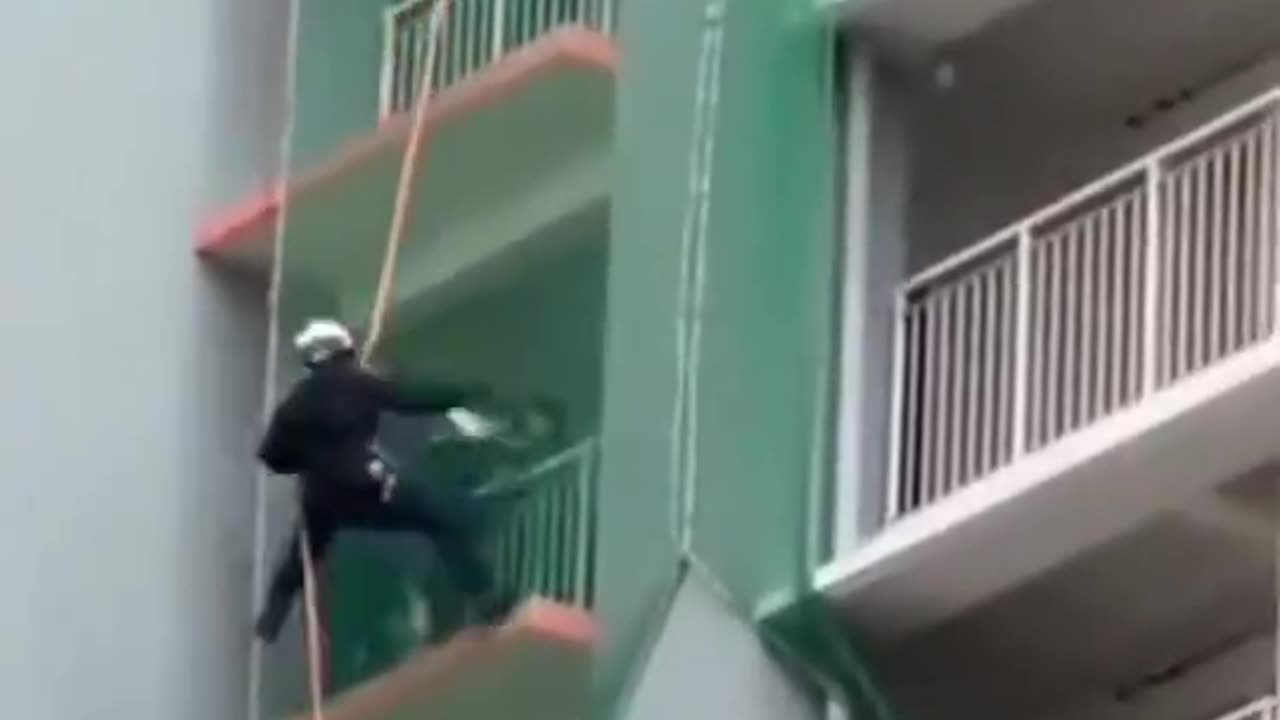 The Professional Skills