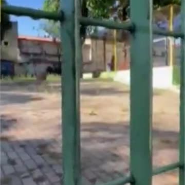 Criança é presa dentro de “jaula” em creche no interior de SP