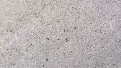 So Many Insects