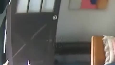 All animals join in house