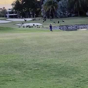 When you First realize your one True Mission in Life