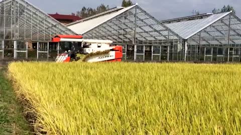 AG7114R Harvesting