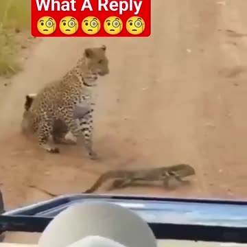 Republicans Best Reply to carnivorous Democrat