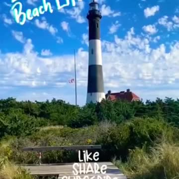 Take In The MOMENTS! 🐚