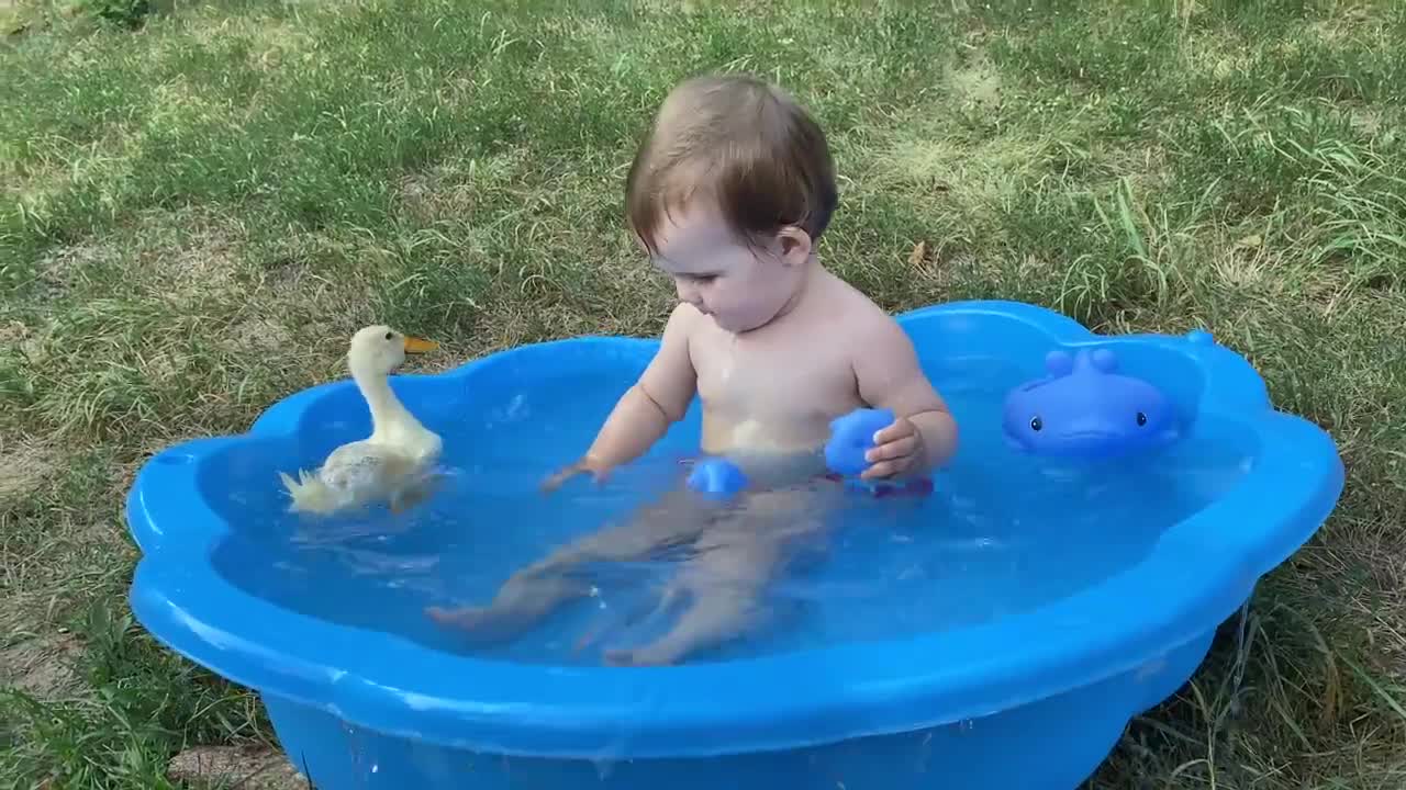 Funny Baby Reaction Duckling in the Pool