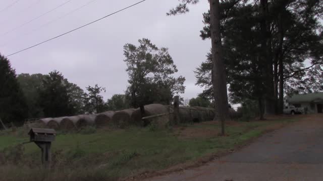 Arkansas Lincoln County Trump Get out and Vote