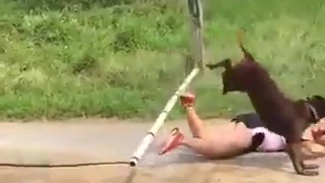 Woman fails to jump with her dog