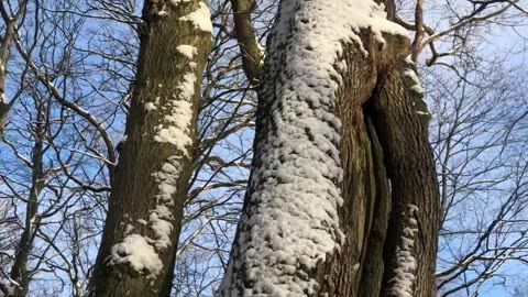 Vinter på Bornholm. December 2021