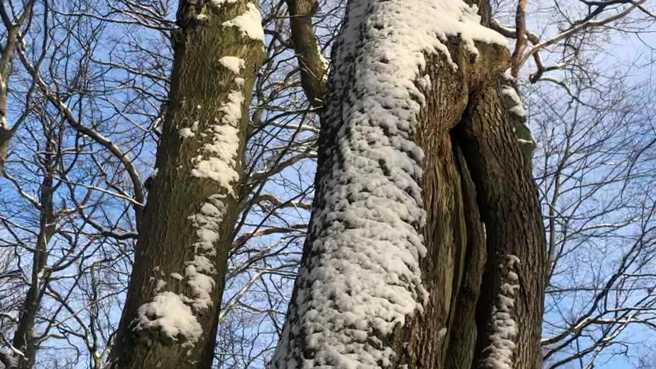 Vinter på Bornholm. December 2021