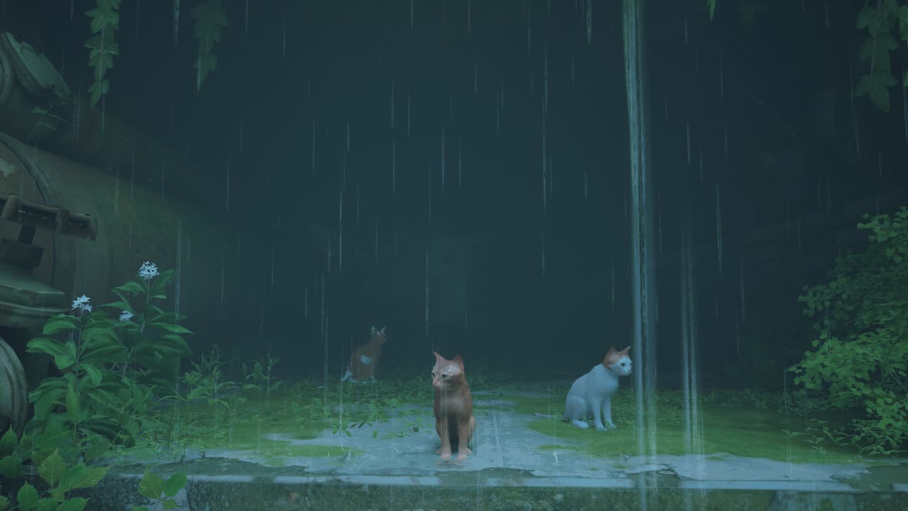 30 Minutes Of Rain And Thunderstorm Ambience In Stray |The Wall|