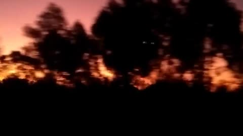 Sunset view from a bus in the country, in Ruta 5 (north-south), Uruguay