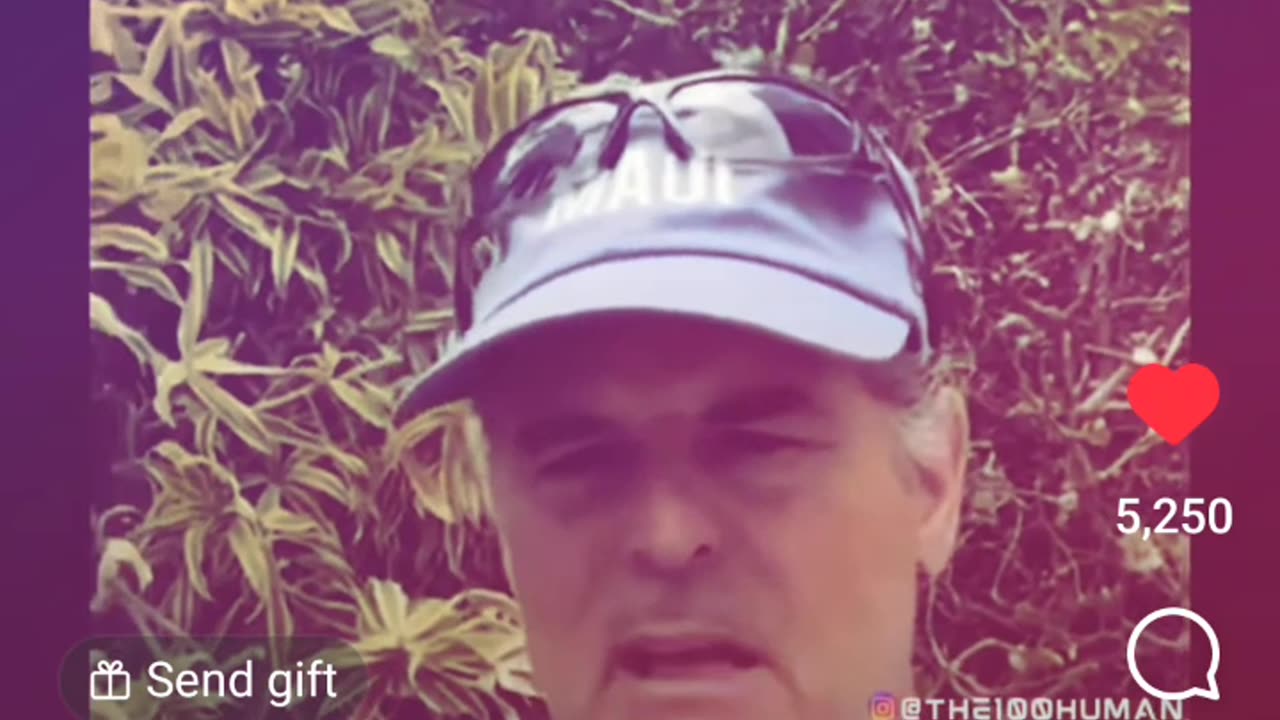 The Maui Police Blockaded All The Roads Out