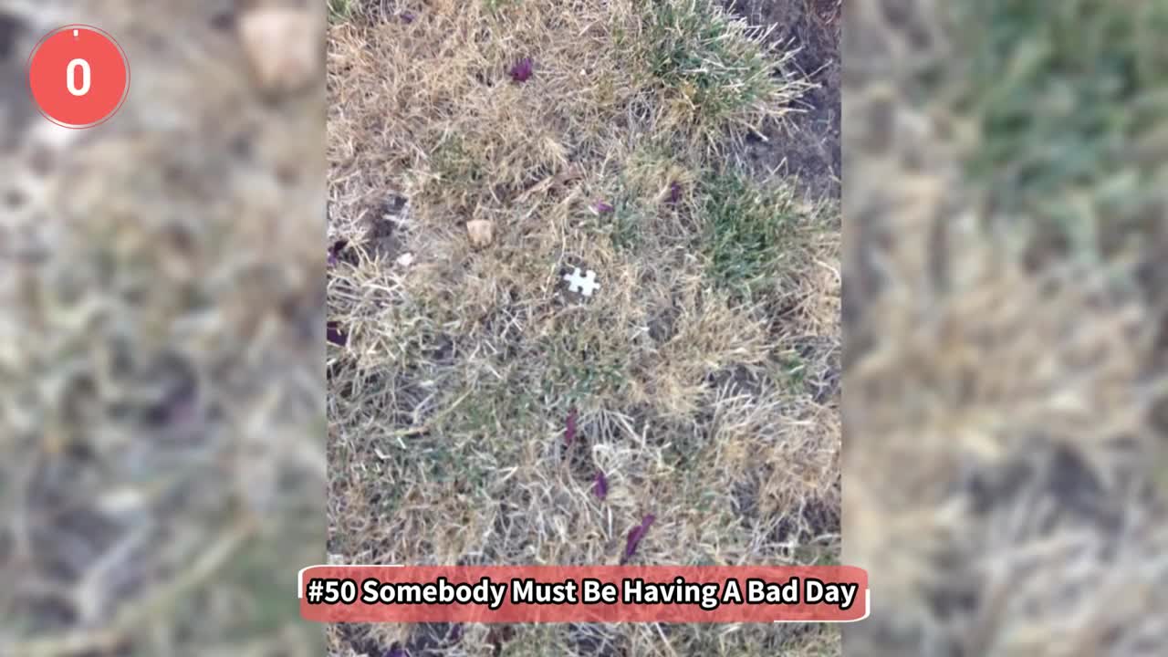 Hilarious Examples Of People Having Bad Day