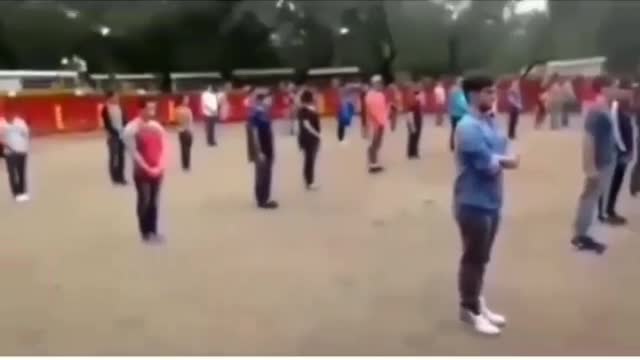 Teacher showing that bull doesn't attack anyone if it is not threatened