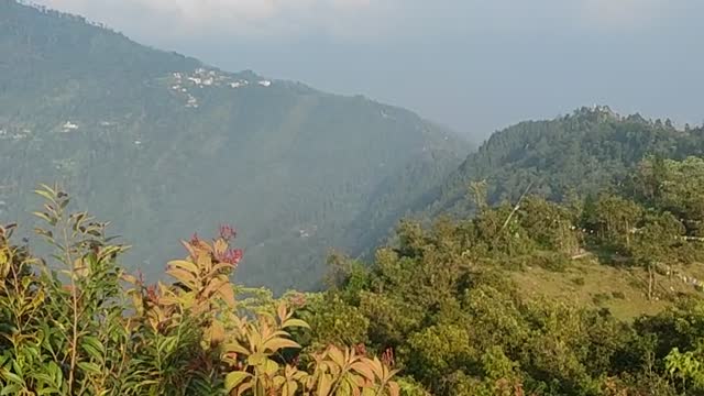 Lovely seen
