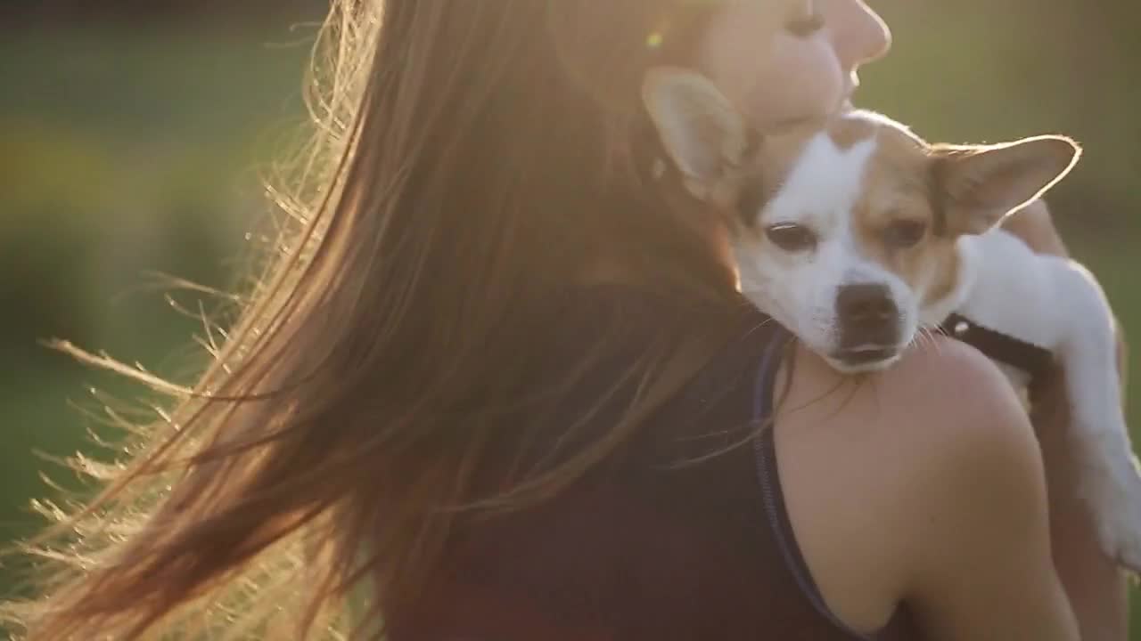 girl dances little puppy, small dog in arms girl child, walks in park with dog