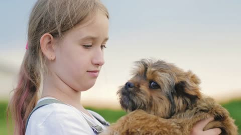 Happy girl play with little puppy. Small dog in arms girl child. Walks in park with dog at sunset