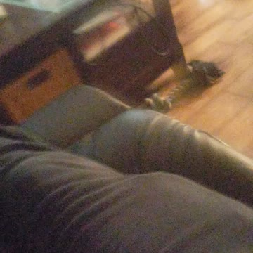 My sister dog name lulu