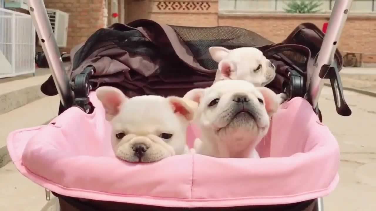 Walk with them