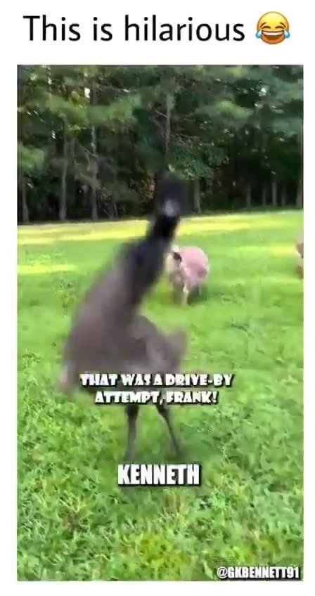 ...the shot that was heard around the world. /MIRRORED/