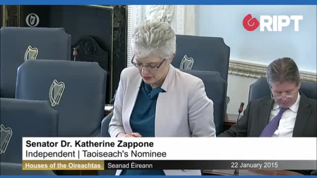 Zappone in 2015: "Nod and wink" appointments have no place in politics