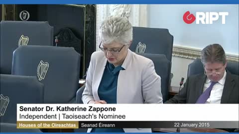 Zappone in 2015: "Nod and wink" appointments have no place in politics