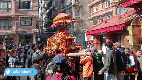 Luti Ajima Jatra, Balachare Jatra, Kathmandu, 2081, Day 3, Part I