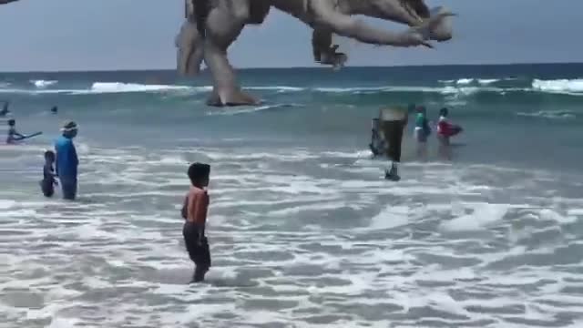 Blue vs Dominus Rex at the beach