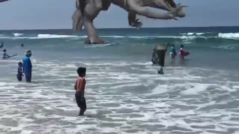 Blue vs Dominus Rex at the beach