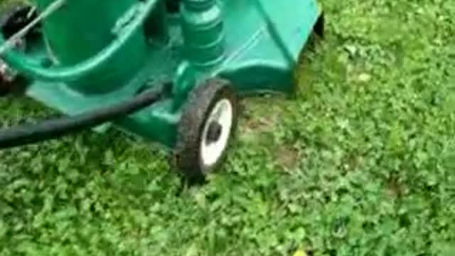 lawnmorrow cutting lawn with only gasoline vapor and water injection,