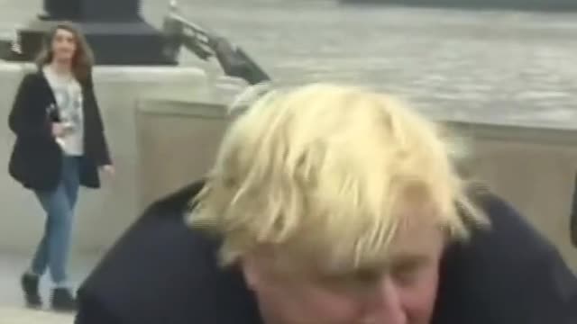 Meet The Specie called Boris