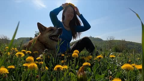 cute smiley dogs