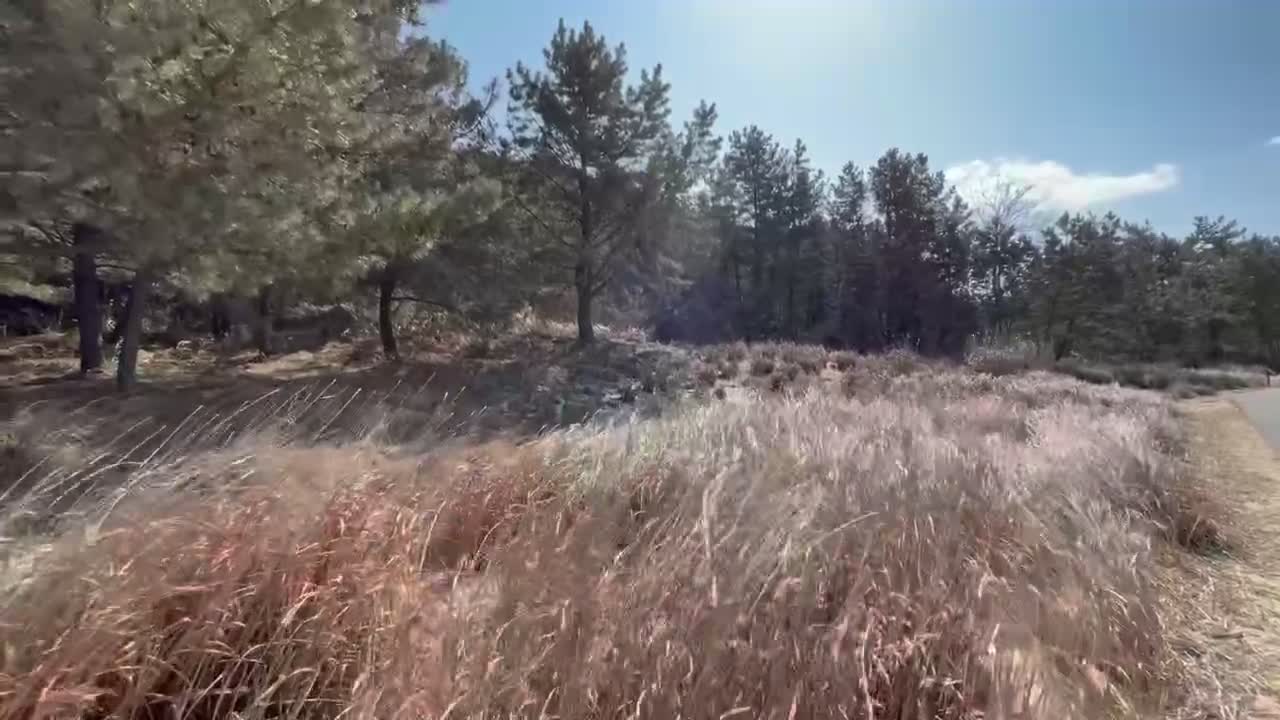 Windy hill on a sunny day