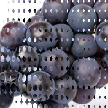 Kale Angoor Khane Ke Fayde | काले अंगूर के फायदे 🍇🍇🍇